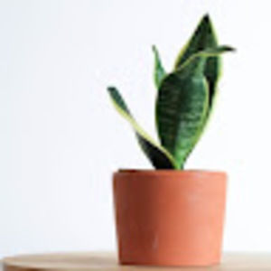 Meet your Posher, Kendra